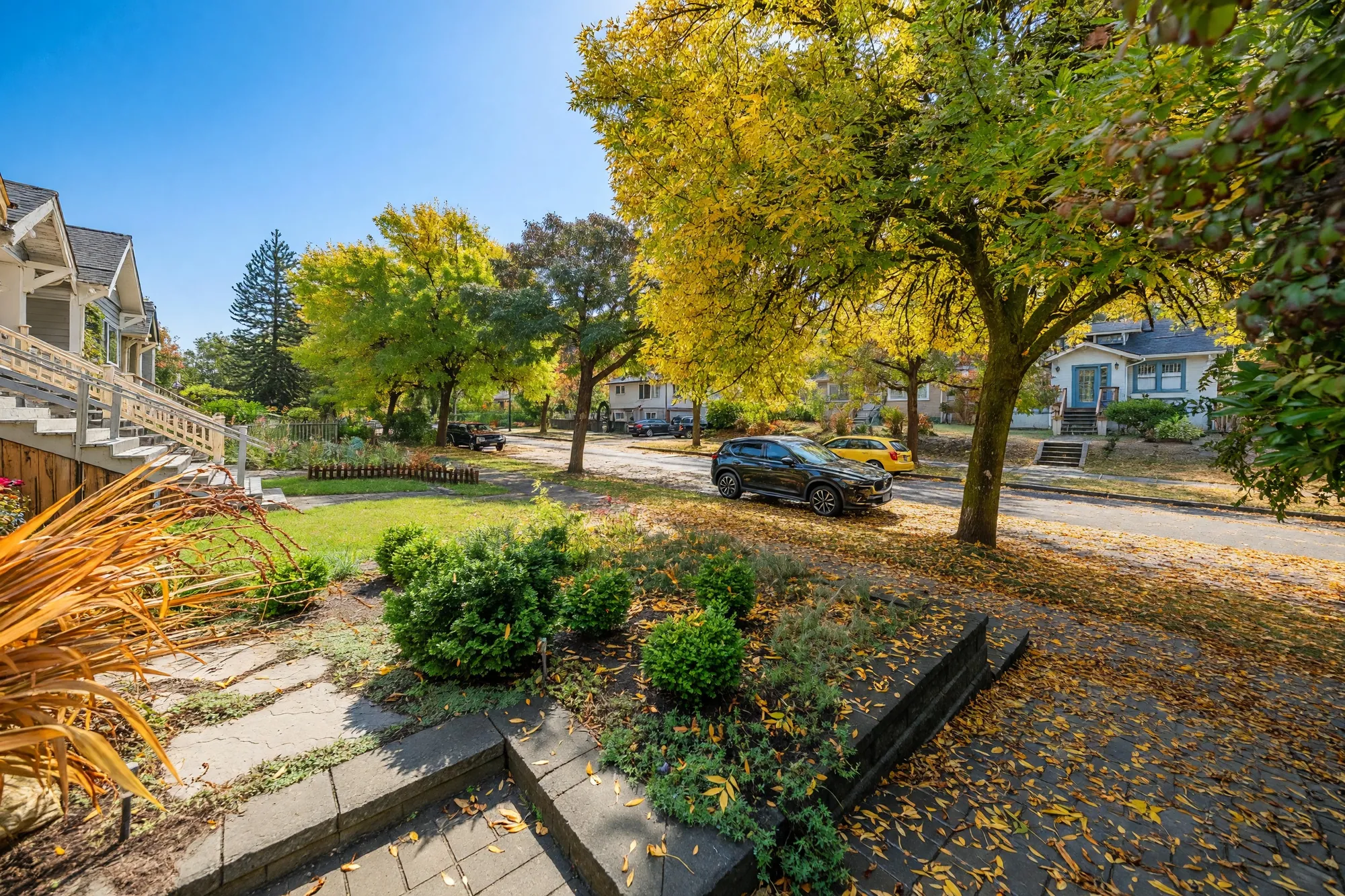 From the front garden toward the street: a stone path through clipped shrubs, fallen leaves, parked cars and street trees in autumn yellow