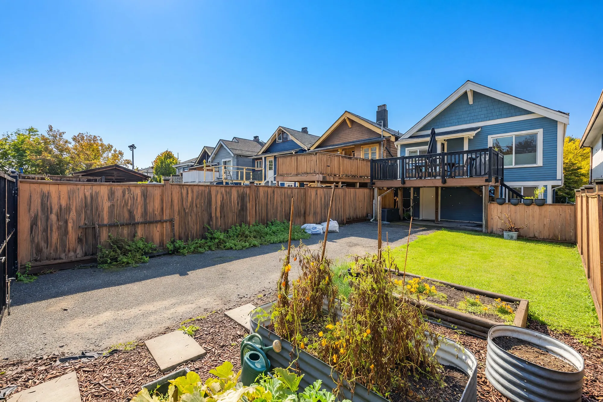 Vegetable beds in round metal planters, the lawn and the parking pad, the house and the deck beyond